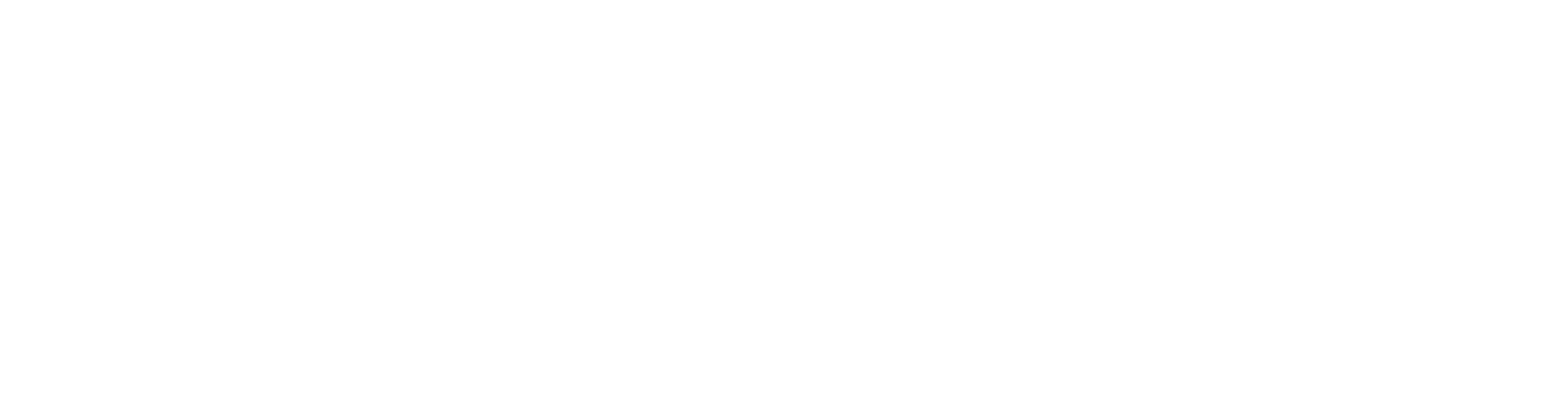 Suralink Logo
